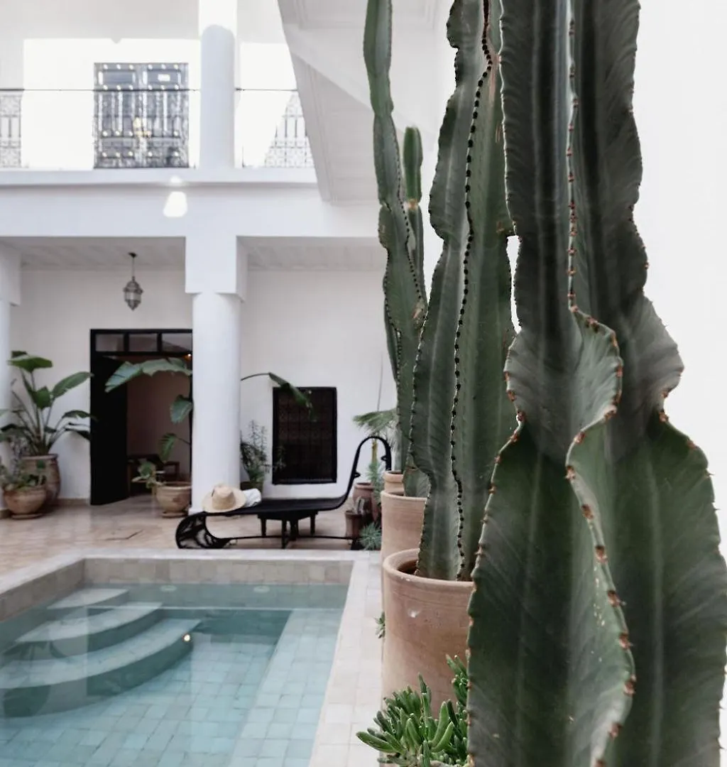 Riad 27 & Spa Entierement Privatise Marrakesh